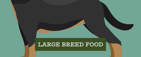 Large Breed